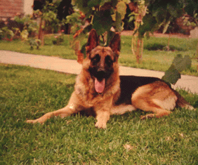 Mostr�ndose en su mejor pose!...