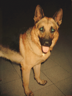 Shester con lentes de contacto!