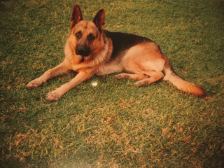 Posando para sus cientos de fans!!